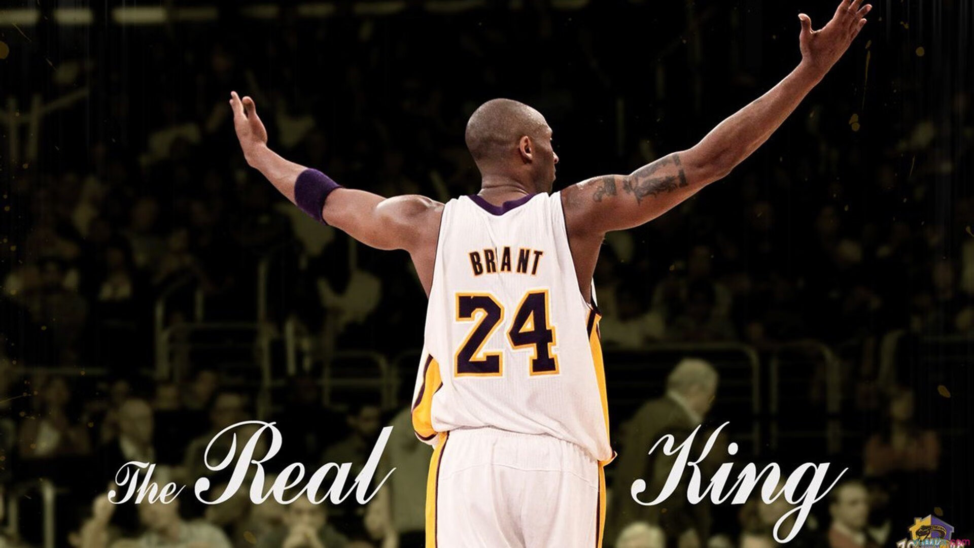 王者荣耀世界冠军杯落幕,中国战队斩获总冠军